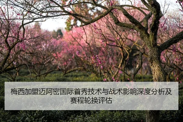 mei-xi-jia-meng-mai-a-mi-guo-ji-shou-xiu-ji-shu-yu-zhan-shu-ying-xiang-shen-du-fen-xi-ji-sai-cheng-lun-huan-ping-gu-2-217.jpg